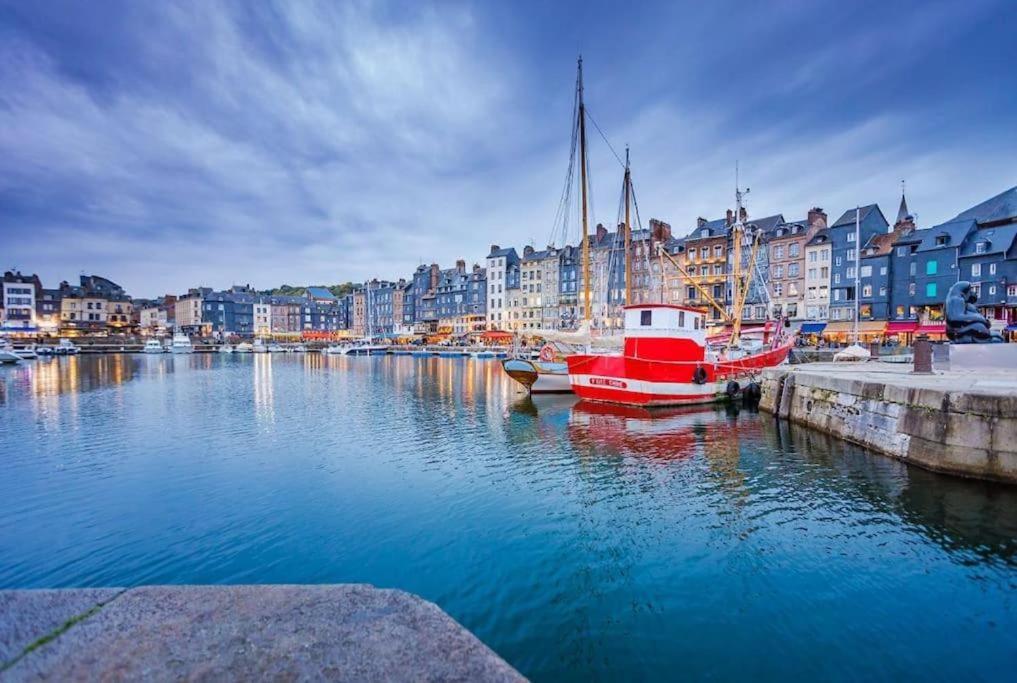 Apartment Cocon Le Panoramique 10min Port Parking Gratuit *